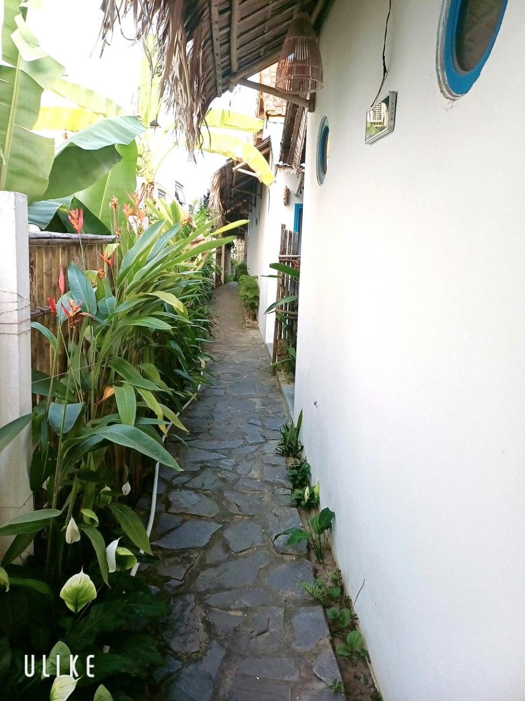 Cashew Tree Bungalow Hoi An Exterior photo